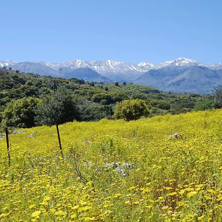 Amvrosia Nr Kalives Crete Willa *